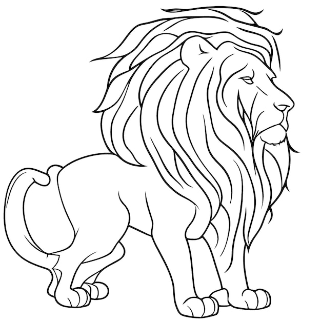 aslan vector illustration line art