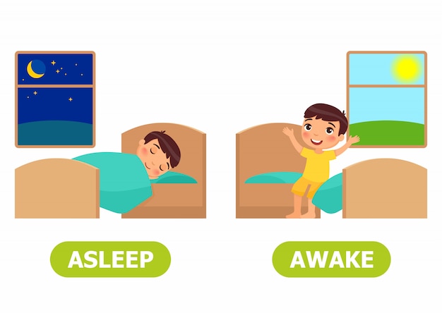 Premium Vector Asleep And Awake Illustration premium-vector-asleep-and-awake-illustration