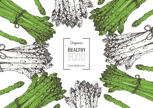 アスパラガス ベクターイラスト 野菜デザインテンプレート 有機食品イラスト 健康食品フレーム 手描きアスパラガス
