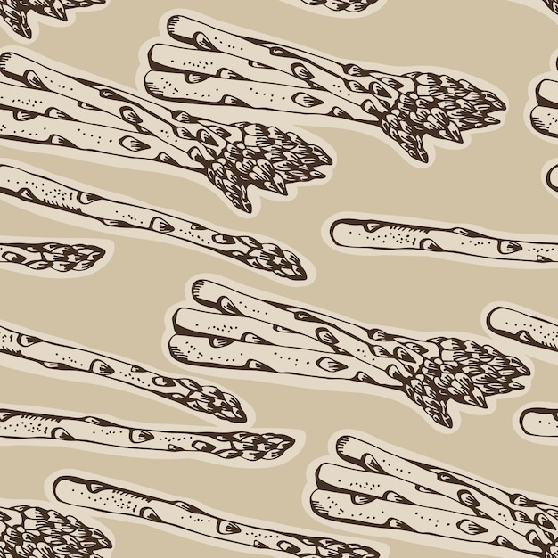 Asparagus vector seamless pattern hand drawn vegetable background