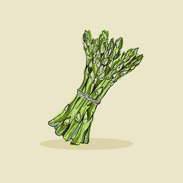 Asparagus vegetable cartoon vector icon illustration food nature icon premium flat