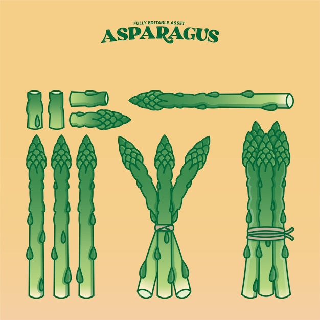 Vector asparagus vers oogst vector illustratie activa van groenten