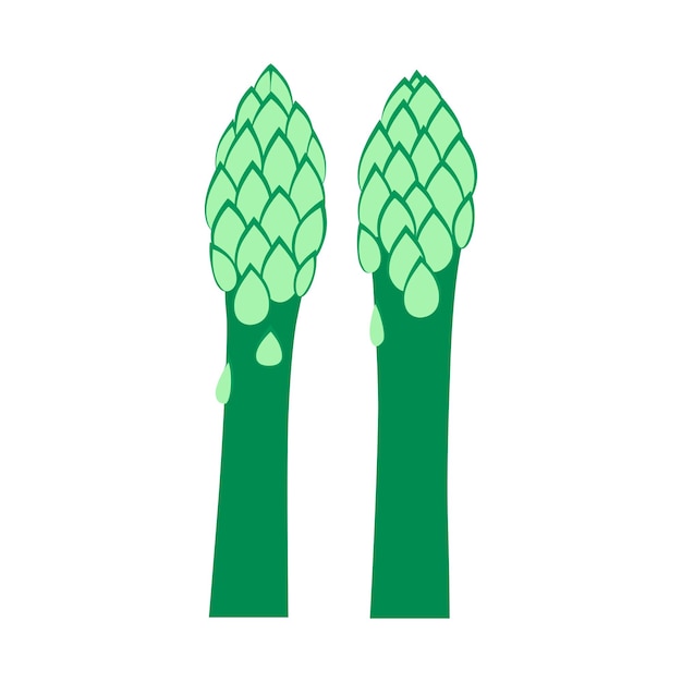 Asperges Biologische groene groente geïsoleerd op een witte achtergrond Gezonde levensstijl Vectorillustratie in vlakke stijl