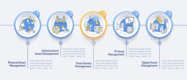 Vector asset monitoring types  infographic template. physical, infrastructure presentation design elements. data visualization with  steps. process timeline chart. workflow layout with linear icons