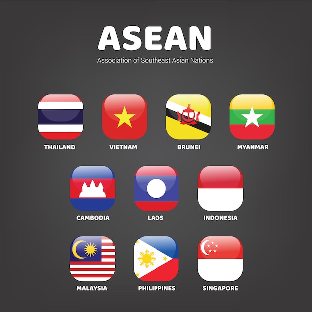 Vector association of southeast asian nations (asean) countries flag
