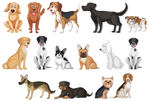 Vector assorted breeds of dogs illustration