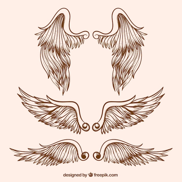 Vector assortment of great wings in realistic design