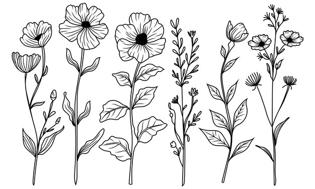 Vector assortment of sketched botanicals a curated set of illustrated foliage and floral stems