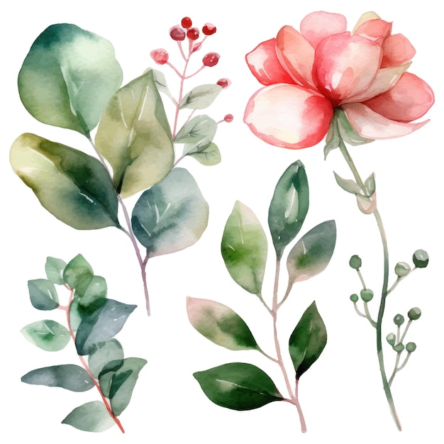 Vector assortment of watercolor leaves and flowers