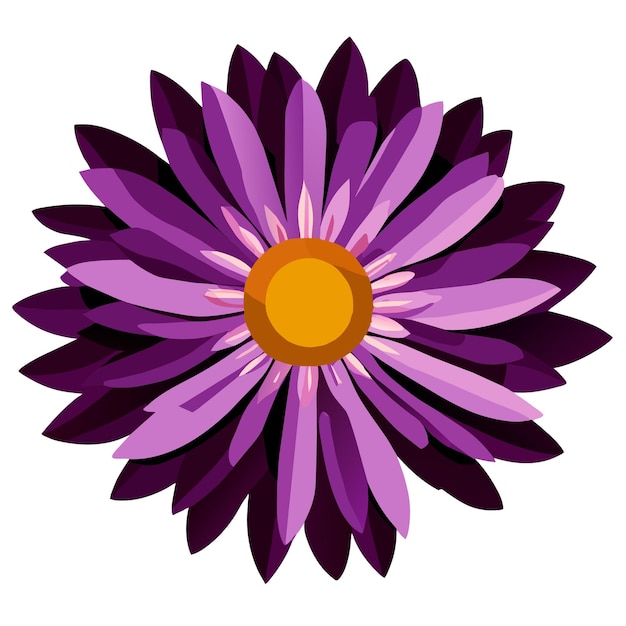 Vector aster flower isolated on white september birth month flower aster