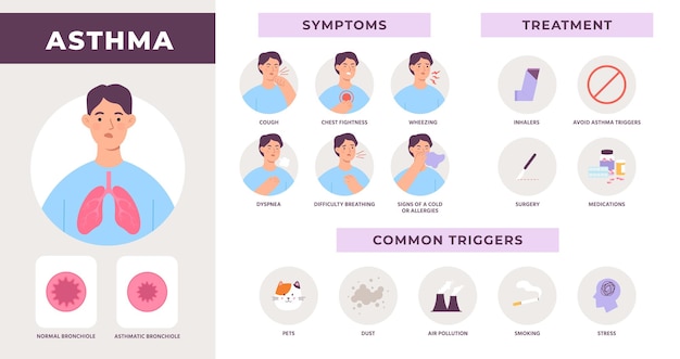 Asthma disease infographic with symptoms treatment and common triggers man with cough wheezing and dyspnea breath difficulty vector info illustration of medical asthma and treatment