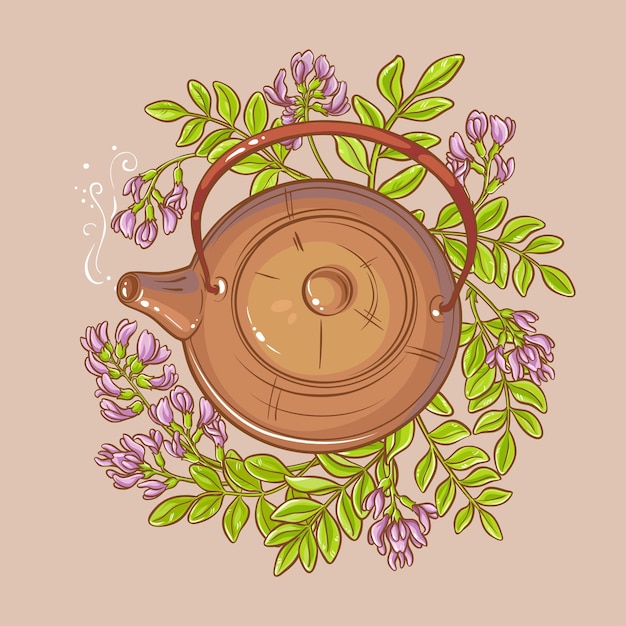 Vector astragalus tea illustration