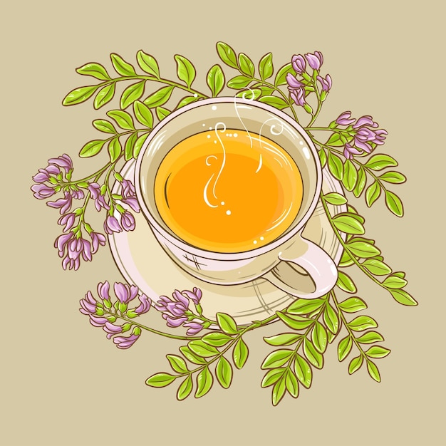 Astragalus thee illustratie