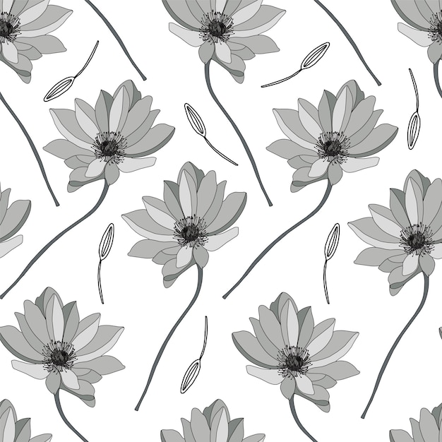 Astragalus vector illustration on a white background linear gerbera pattern