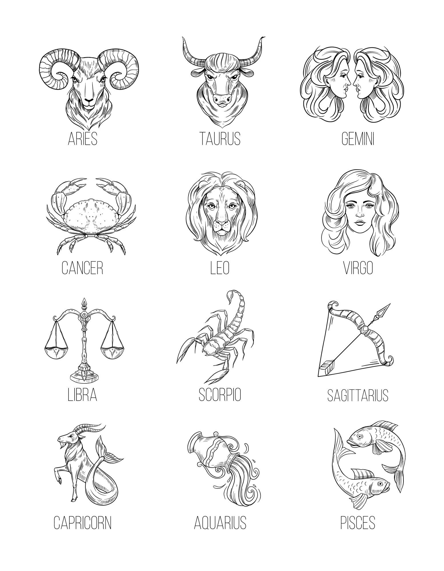 Premium Vector | Astrology signs, zodiac outline simbols. vector set ...