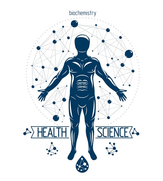 Vettore illustrazione vettoriale dell'uomo atletico realizzata utilizzando connessioni molecolari futuristiche. umano come oggetto di ricerca biochimica, ingegneria genetica.