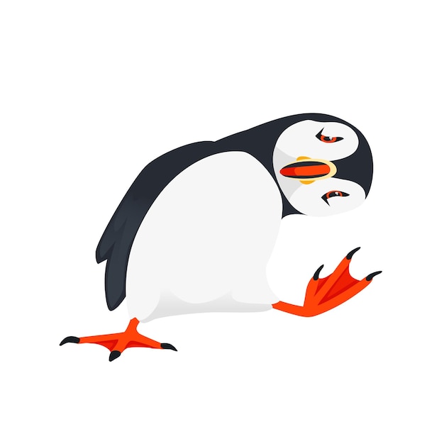 Atlantic puffin bird cartoon animal design flat vector illustration isolated on white background