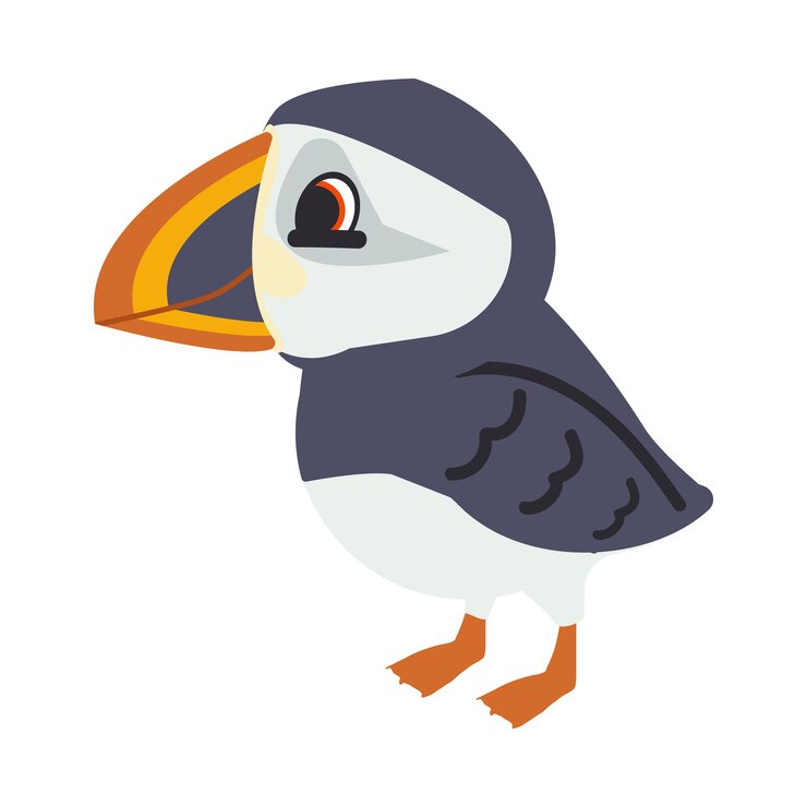 Vector atlantic puffin bird cartoon animal flat