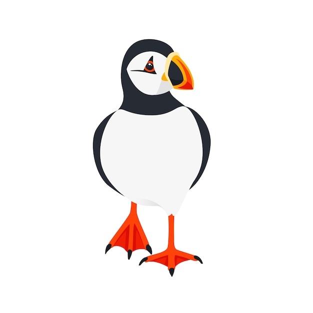 Atlantic puffin bird walking cartoon animal design piatto illustrazione vettoriale isolato su sfondo bianco