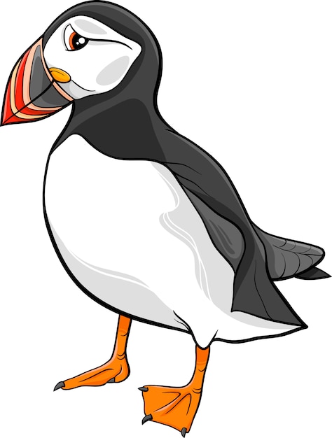 Vector atlantic puffin cartoon illustration