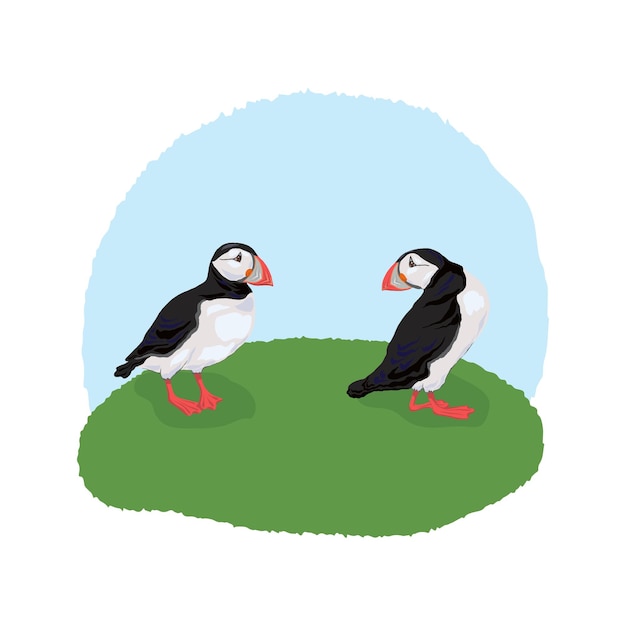 대서양 퍼핀 만화 스타일의 재미 있는 북부 새