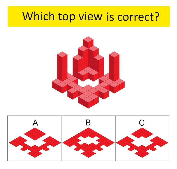 Vector attention task which top view is correct iq training test