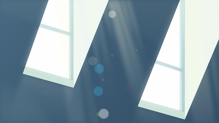 Vector attic