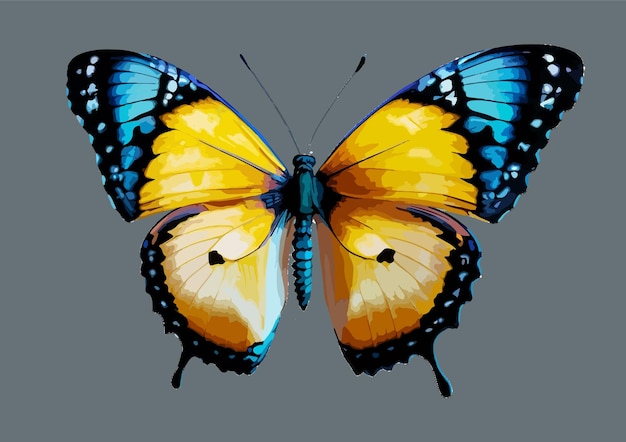 Vector attractive beautiful yellow orange butterfly