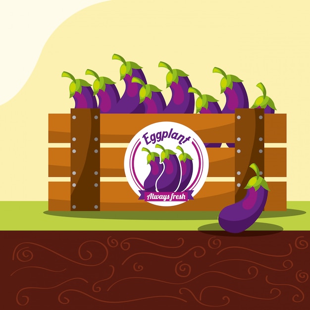 Vector aubergine groente altijd vers in houten mand