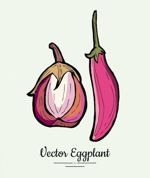 Aubergine groente boodschappen vintage set. hand getekend geïsoleerde verse aubergine. voedsel lijn hand getekende illustratie.