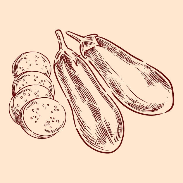 Vector aubergine illustratie