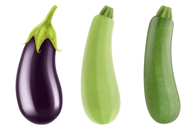 Vector aubergine of aubergine groene courgette courgette of beenmerg zomerpompoen geïsoleerd op witte achtergrond verse rauwe groente realistische 3d-vectorillustratie kan worden gebruikt voor reclameverpakkingen