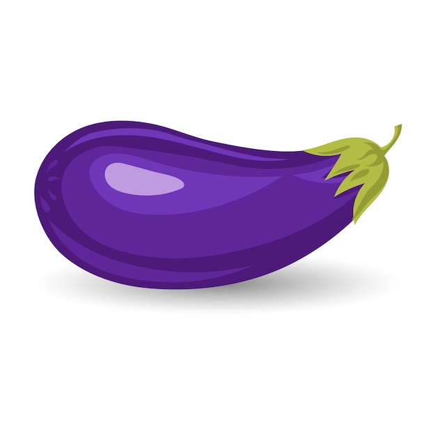 Aubergine op een witte achtergrond. Groenten illustratie, clipart, vector