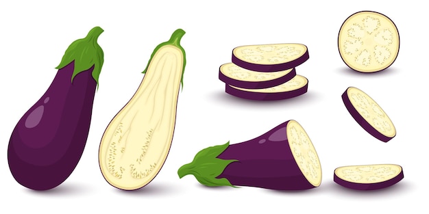 Aubergine set geïsoleerd op een witte achtergrond. Hele, plak, halve verse aubergine. Vector ingrediënten voor salade.