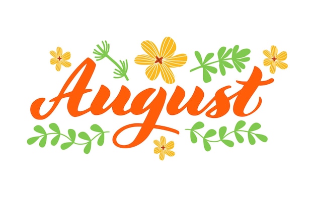 Augustus Hand getrokken belettering maand naam Handgeschreven maand mei voor kalender maandelijks logo