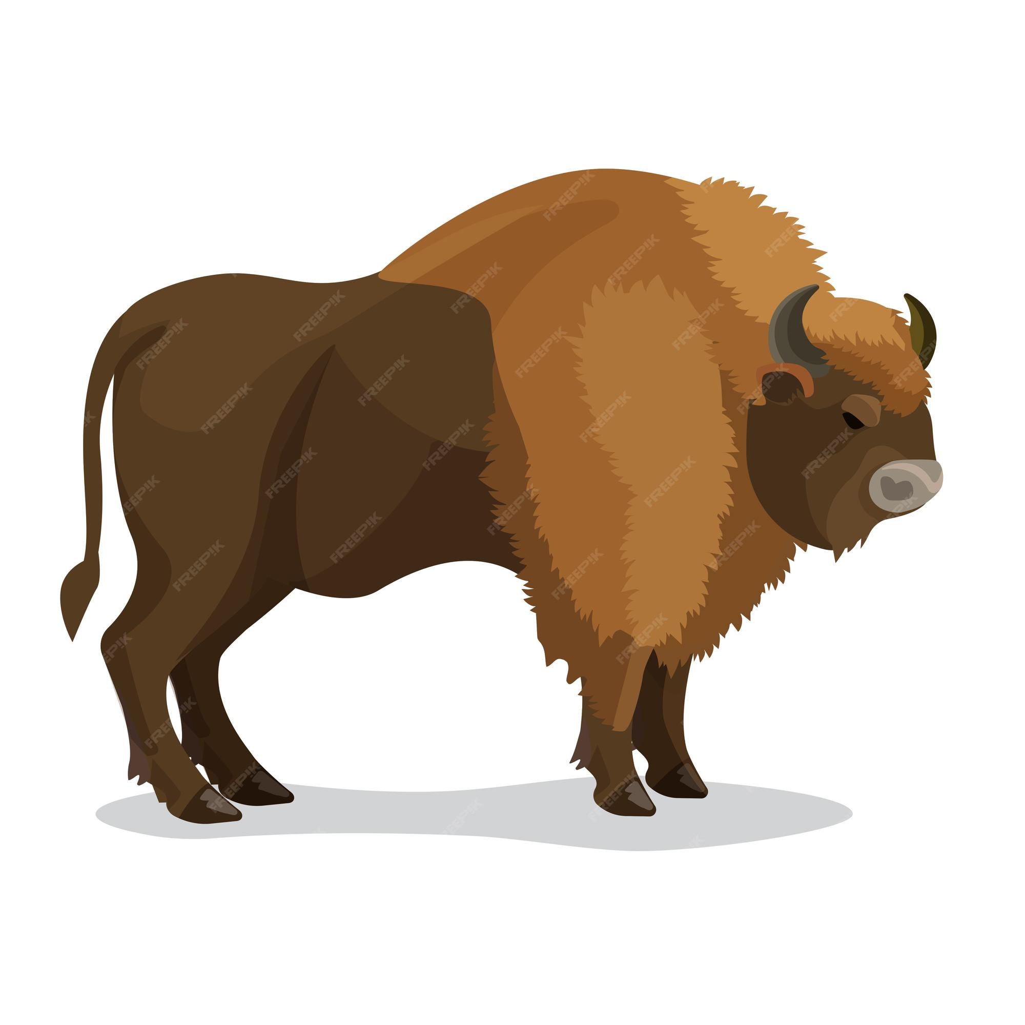 Premium Vector | Aurochs animal in brown colour with two horns, small tail isolated on white. illustration of extinct type of large wild cattle that inhabited europe, asia, and north africa in Premium Vector | Aurochs animal in brown colour with two horns, small tail isolated on white. illustration of extinct type of large wild cattle that inhabited europe, asia, and north africa in