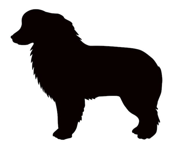 Aussie or kelpie black silhouette of a standing dog Australian Shepherd dog