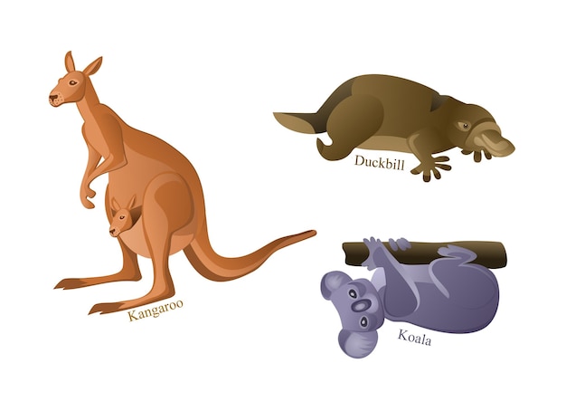 Australia platypus kangaroo koala animals set