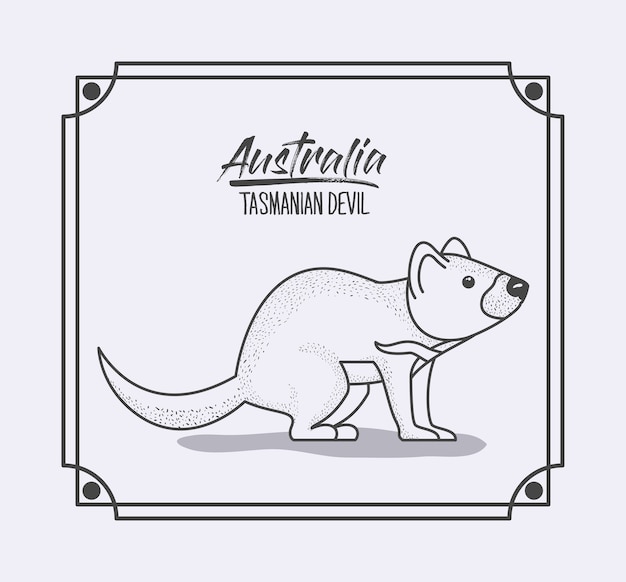 Vector australia tasmanian devil in frame and monochrome silhouette