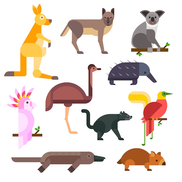 Vector australia wild animals cartoon vector collection