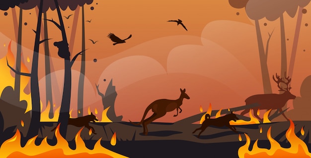 Vector australian animals silhouettes running from forest fires in australia wildfire bushfire burning trees natural disaster concept intense orange flames horizontal