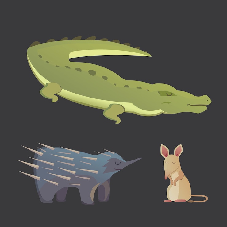 Vector australian animals vector crocodile, echidna and opossum isolated