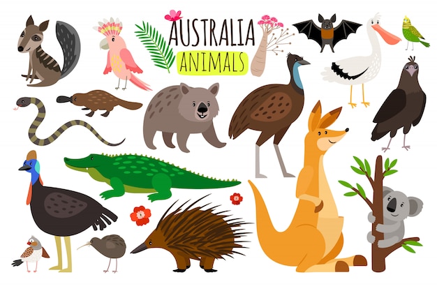 Vettore animali australiani