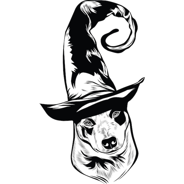 Australian Cattle Dog Dog in Witch Hat for Halloween