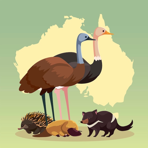Vettore continente australiano mappa habitat animali fauna e illustrazione della fauna selvatica