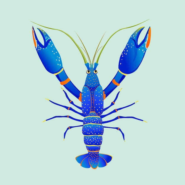 Australian crayfish yabby or cherax destructor