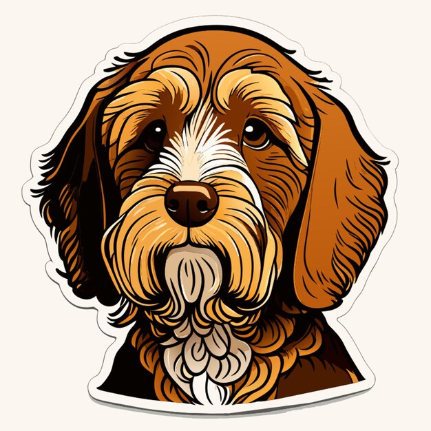 Vettore illustrazione vettoriale dell'etichetta adesiva del labradoodle australiano