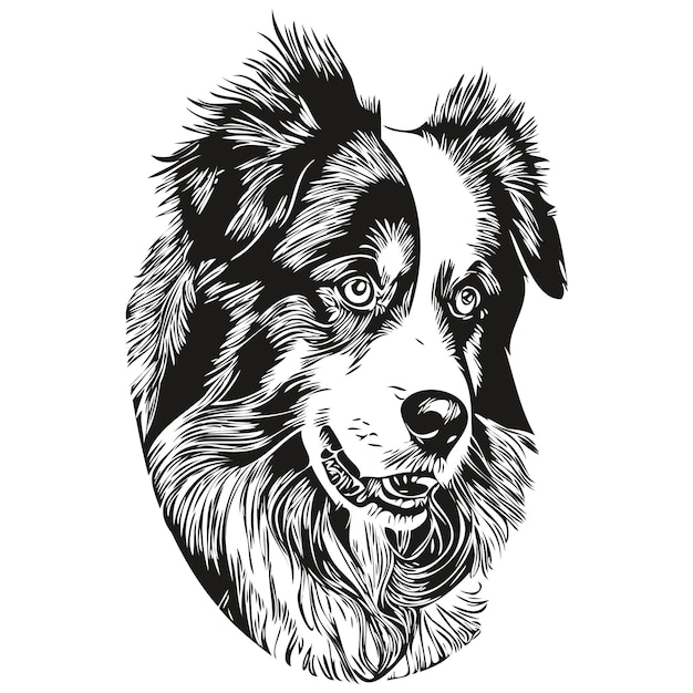 Logo vettoriale disegnato a mano del cane da pastore australiano che disegna in bianco e nero l'illustrazione degli animali domestici al tratto