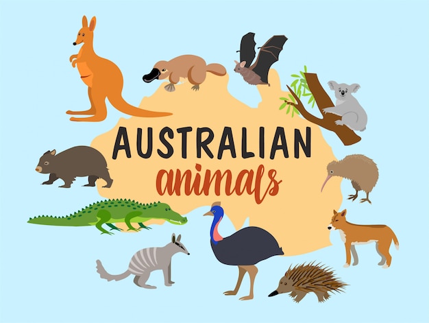 Australische dieren.