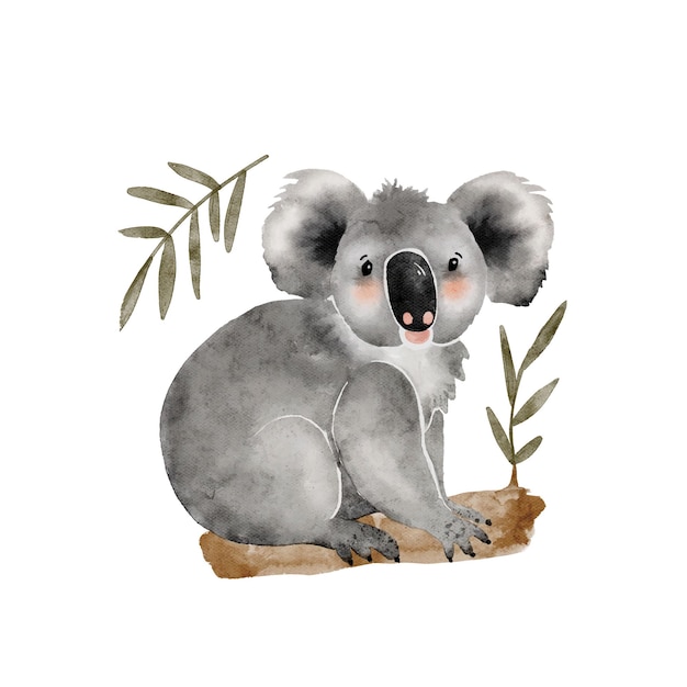 Vector australische schattige cartoon koala dier op de boom aquarel illustratie